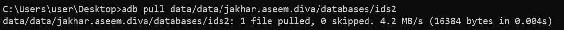 image-20240206031327770