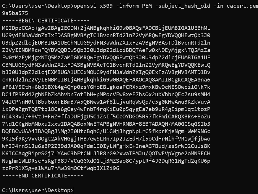 image-20240208210611013