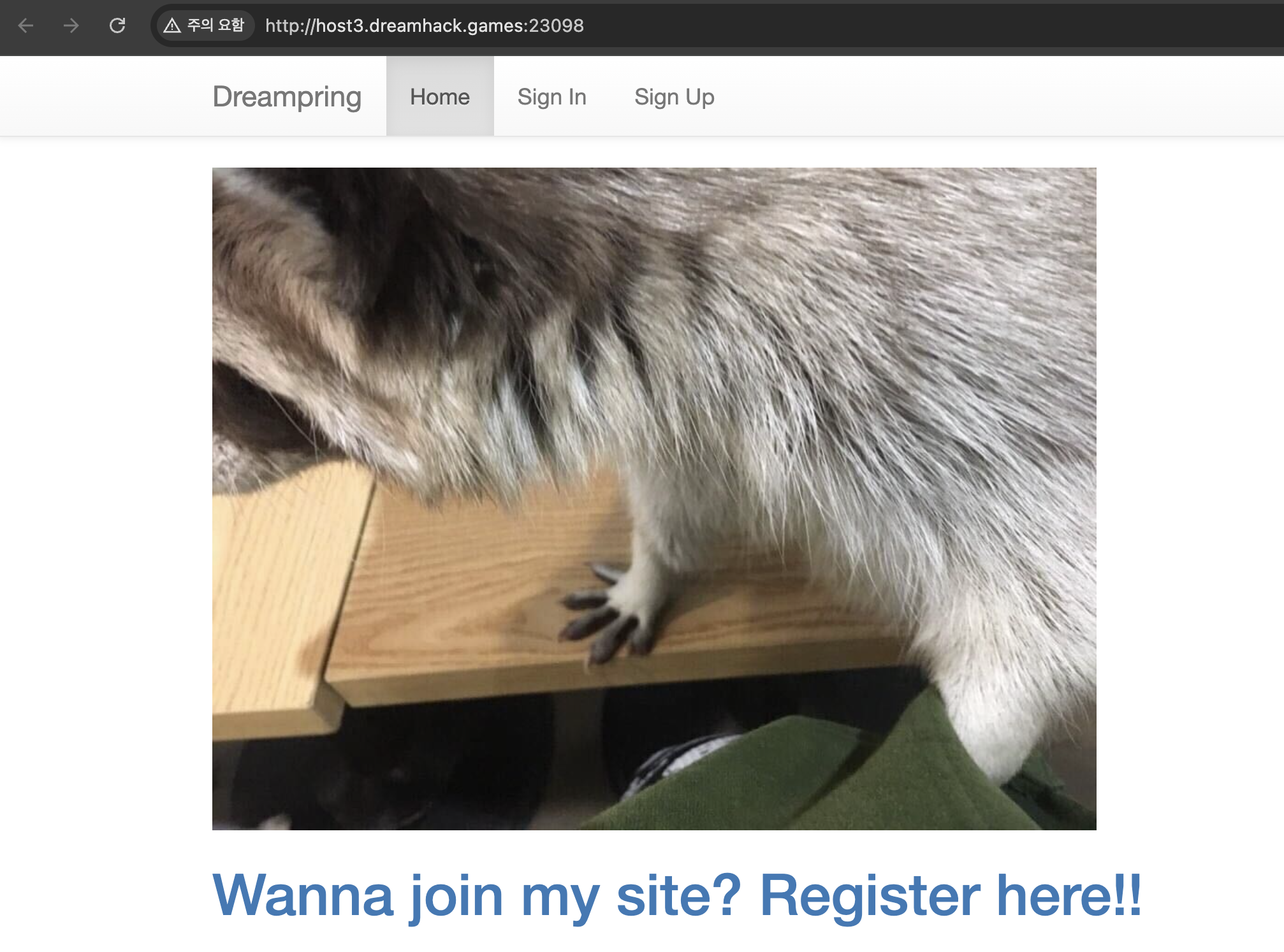 image-20250518164933671