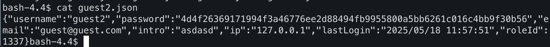 image-20250518205830855